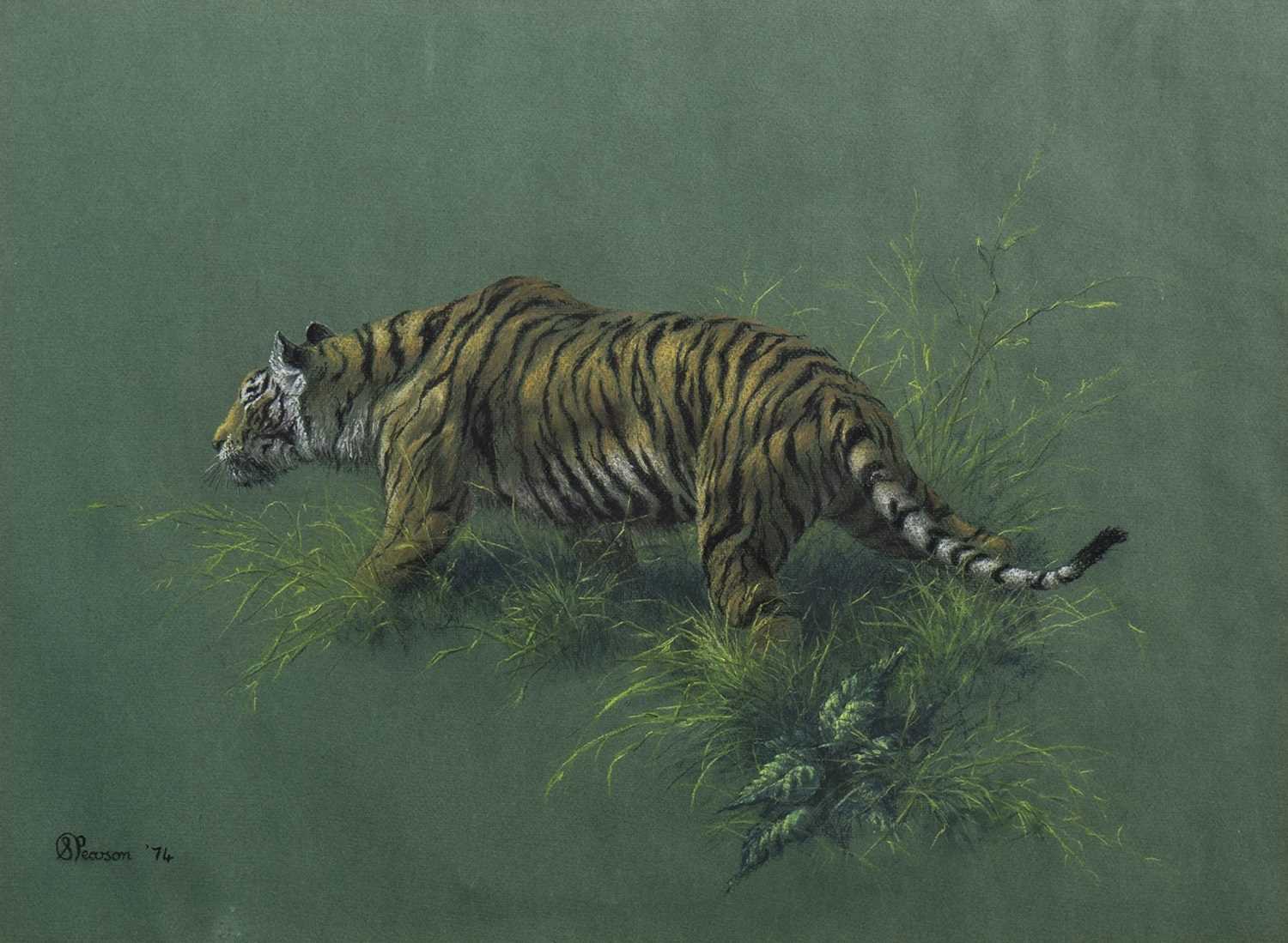 Lot 538 - TIGER, THE ORIGINAL PASTEL BY STEPHEN PEARSON