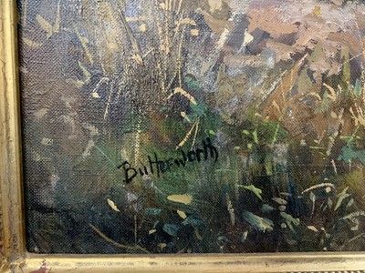 Lot 72 - * HOWARD BUTTERWORTH (SCOTTISH b. 1945)