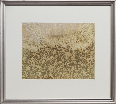 Lot 189A - * BILL WRIGHT RSW RGI DA (SCOTTISH 1931 - 2016)