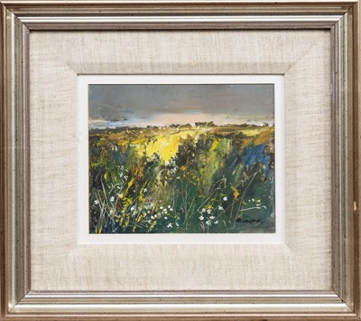 Lot 213A - * DOUGLAS PHILLIPS (SCOTTISH 1926 - 2012)