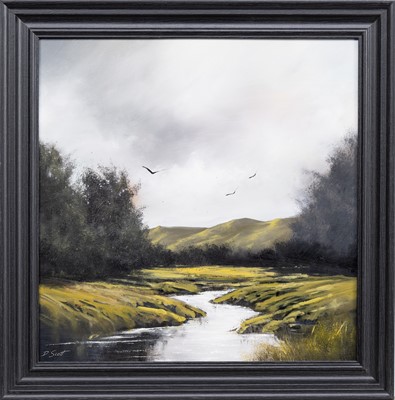 Lot 278 - * DARREN SCOTT