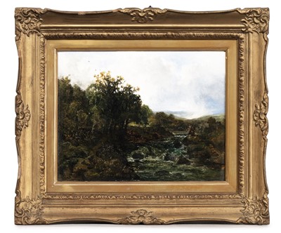 Lot 428 - JOHN WRIGHT OAKES ARA ARI HRSA (BRITISH 1820 - 1887)