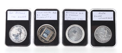 Lot 83 - NINE ONE OUNCE SILVER COINS