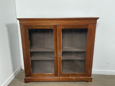 Lot 83 - EDWARDIAN MAHOGANY INLAID BOOKCASE