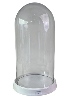 Lot 580 - GLASS DISPLAY DOME